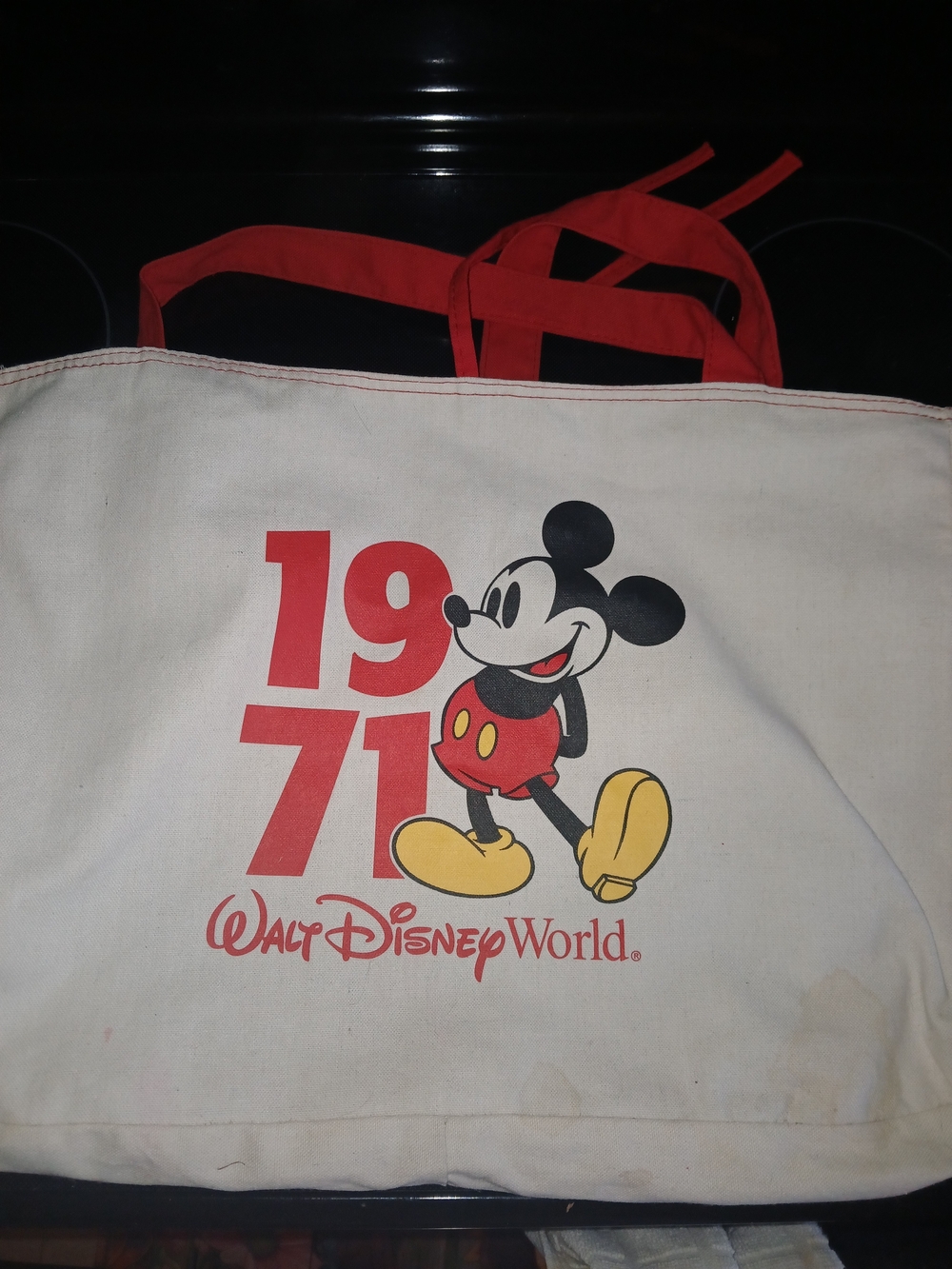 Walt Disney World 1971 Mickey Canvas Tote - Red Straps Reversible
